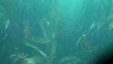 2009-09-23 11-53-05 03L